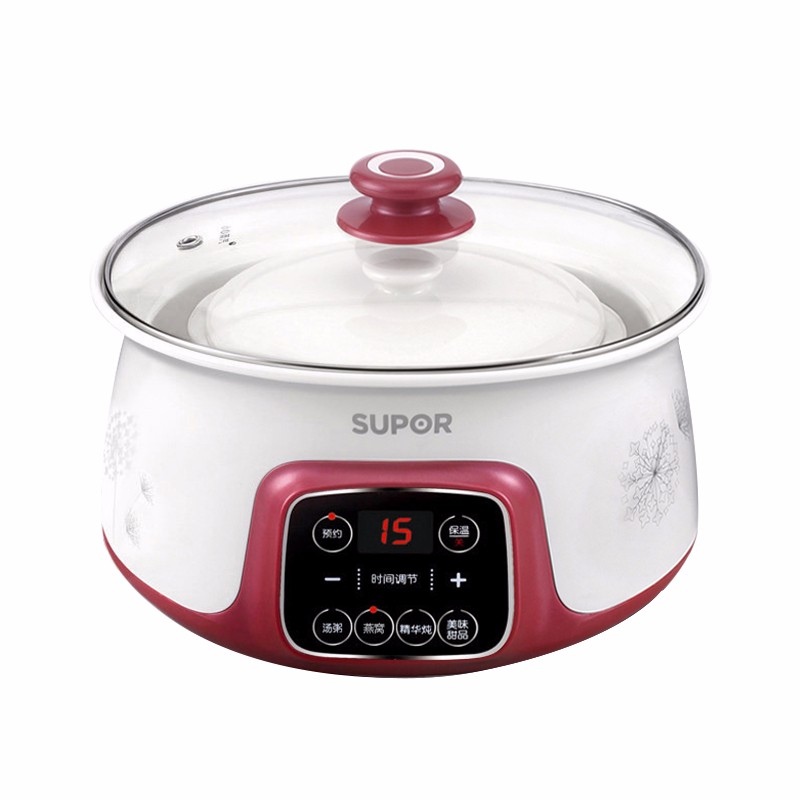 隔水电炖盅燕窝电炖锅煲汤锅煮粥锅